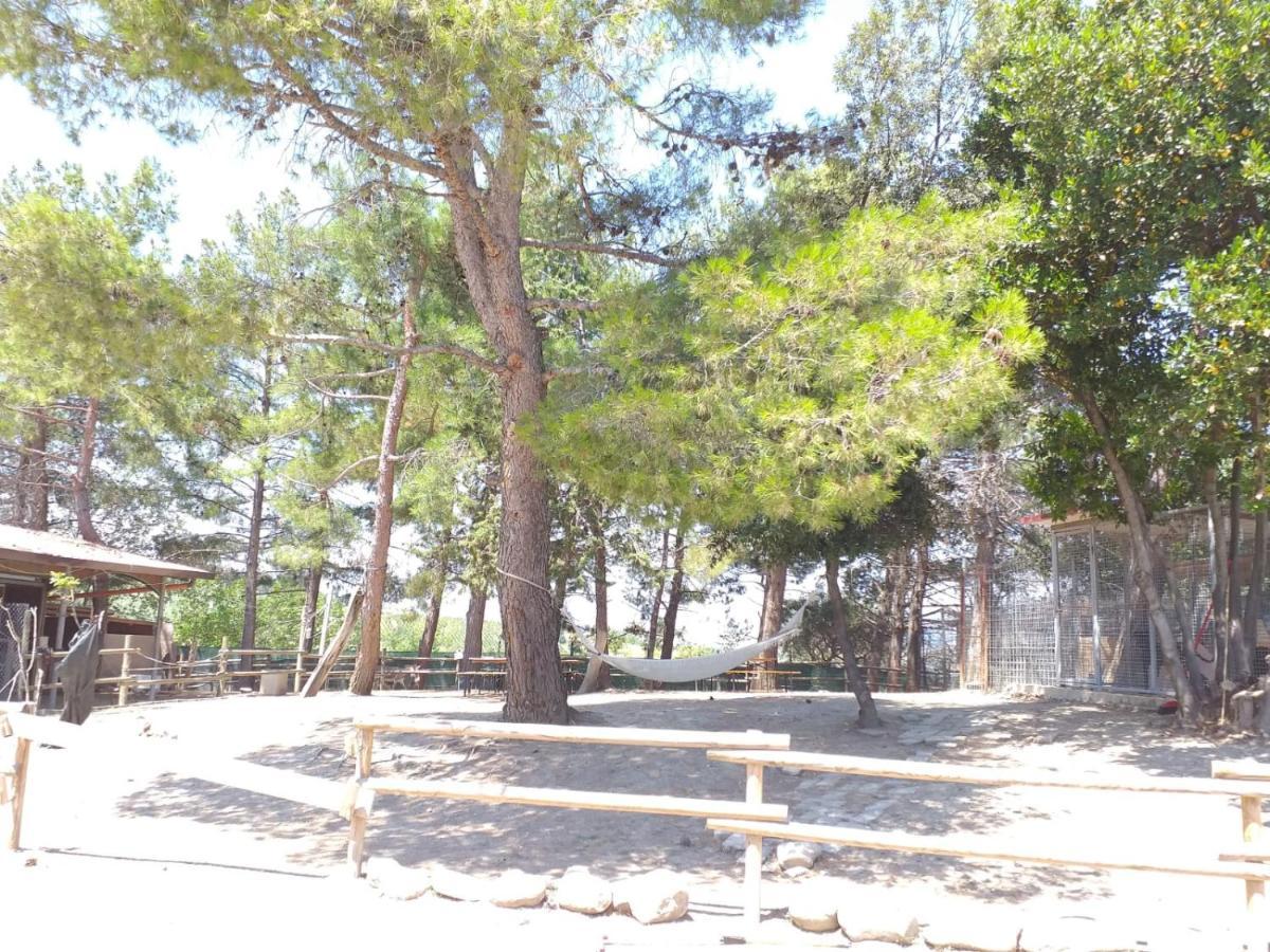Fattoria Country Village Montecarotto Εξωτερικό φωτογραφία