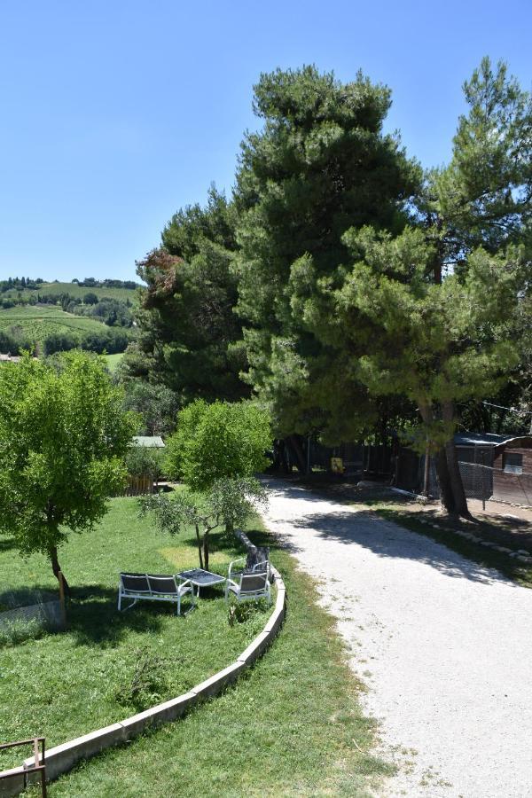 Fattoria Country Village Montecarotto Εξωτερικό φωτογραφία